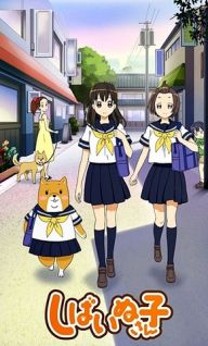 Shiba Inuko-san