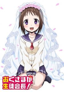 Okusama ga seitokaichou
